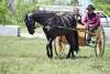 Heritage Festival