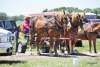Heritage Festival