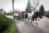 Horse-Drawn Wagon Ride