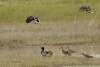 Willets Challenging Sandhills Scenic Drive