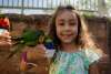 Young girl enjoying the Lorikeet interactive exhibit at the Oklahoma City Zoo