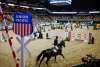 The International Horse Jumping Competition