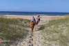 OBX Daydream | Horseback Excursion