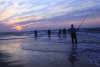Surf Fishing