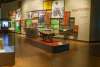 Agua Caliente Cultural Museum Display.jpg