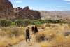 People hiking in Andreas Canyon