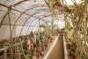 Moorton Botanical Garden Interior