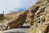 Drive through rock and Palm Canyon.