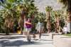 Two people walking a corgi dog on a palm-lined pathway on a bright sunny day.