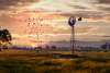 Dorset Road Windmill Waroona