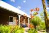 Frontage-kangaroo paw