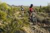 McDowell Mountain Regional Park