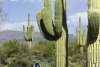 McDowell Mountain Regional Park