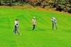 2024 Dario Belardi Hospitality Scholarship Golf Tournament at Hideaway Hills Golf Club