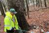 A volunteer picking up trash during Pick Up The Poconos