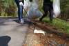 Trash being picked up along the road
