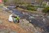 Trash being picked up along a creek