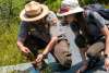 Ranger and volunteer examining flora