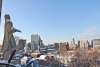 Winter Skyline