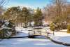 Roger Williams Snow