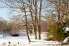 Roger Williams Park Snow