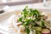 Spring Salad