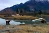 Visit Anchorage Destination Immersion 4