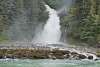 frothy while waterfall cascades through evergreen covered mountain and into the rocky seaweed covered beach and into the bright green ocean