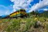 Blue skies with two white cloud streaks hang over weeds and wild flowers of yellow and white along the railroad tracks as a bright green and yellow train locomotive engine number 3001 pulling a string of brown passenger cars passes by the photographer. Massive blue and white jagged mountains in the distance with evergreen covered mountains on either side of the picture frame.