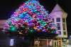 Town Christmas tree