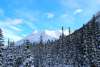 White Pass & Yukon Route 3