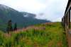 Just about to the end of the line, right into the cloud base with all the beautiful firewood alongside. Photo from the car platform.