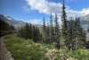White Pass Curve