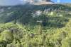 White Pass Tall Green Mountain