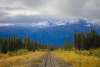 Along the Klondike Highway out of Skagway