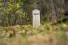 Skagway Pioneer Cemetery. I feel like this captures the isolation and desperation of the gold rush. Shot with Minolta Autcord film camera. Shot May 4, 2024.