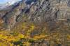 Fall along the South Klondike Highway