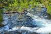 Upper Dewey Creek