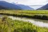 Nelson Slough near Taiya Inlet in Dyea, wild irises in foreground