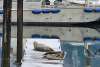 Small harbor last day of Pullen Creek RV Park, October 2025