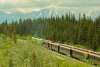 White Pass and Yukon Route railway seen from the Klondike Highway outside of Skagway