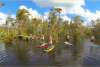 GO PADDLEBOARD: Louisiana's Northshore