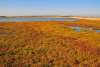 BolsaChica4
