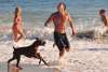 DogBeach2