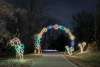 Light Show Candy Arch