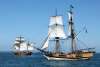 Lady Washington and Hawaiian Chieftain historic ships