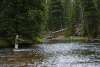 a fisherman with his line cast into a creeks' water in a forest