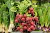 local produce from York County, PA