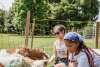 people enjoying feeding the goats at White Clover Farms