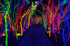 Virtual Experiences